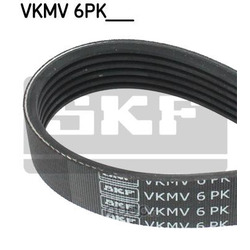   (Skf) VKMV6PK1356