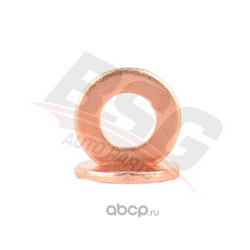 Кольцо уплотнительное форсунки (BSG) BSG30116104