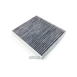    (RAF FILTER) RSTC004FOXY