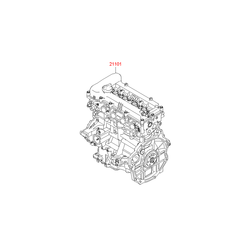 Двигатель (Hyundai-KIA) 211012BW02