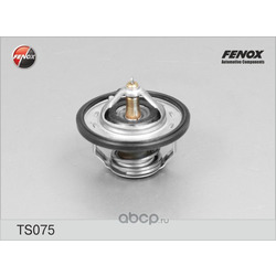  FENOX (FENOX) TS075