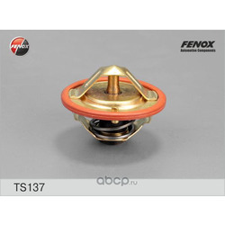  FENOX (FENOX) TS137